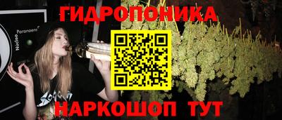 дмт Севастополь