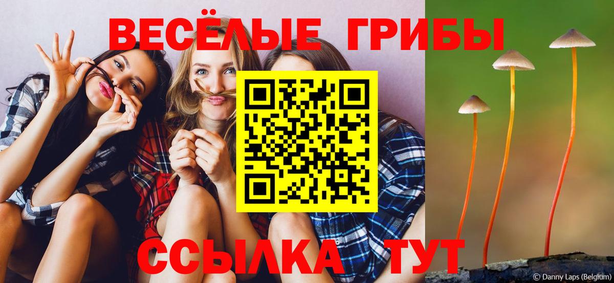 Псилоцибиновые грибы ЛСД  Галлюциногенные грибы мухоморы  Брянск  Вход с VPN 